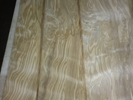 Olive Ash