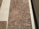 American Black Walnut Burr