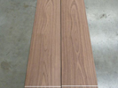American Black Walnut
