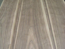 American Black Walnut