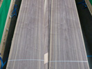 American Black Walnut