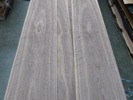 American Black Walnut