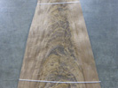 American Black Walnut Curl