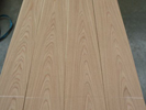 American White Oak