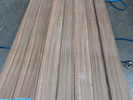Australian Walnut