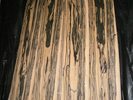 Coromandel Veneer