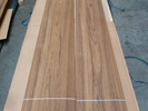 Crown Teak