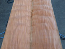 Quilted Maple