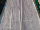 Wild American Black Walnut